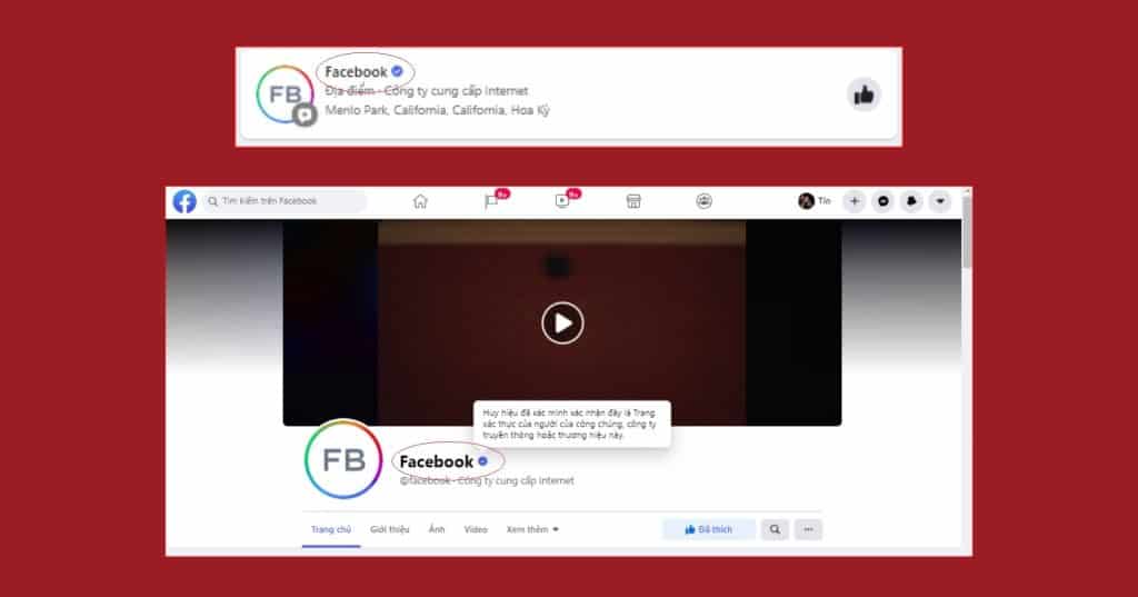 Tick xanh Fanpage Facebook EQVN