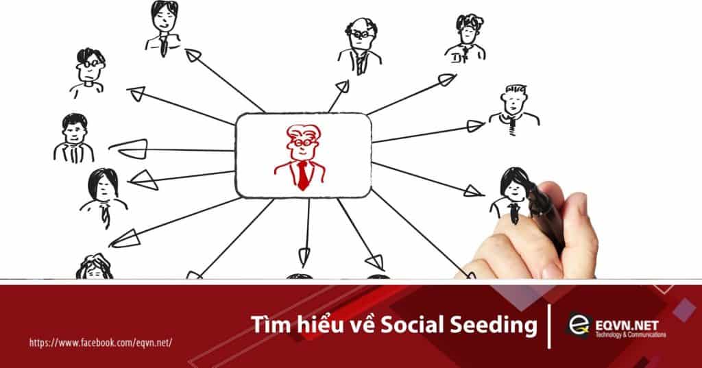 social seeding là gì
