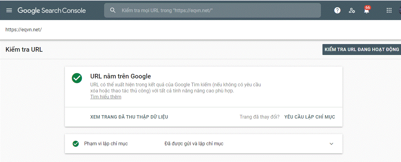 Kiểm tra Google Index bằng Google Search Console