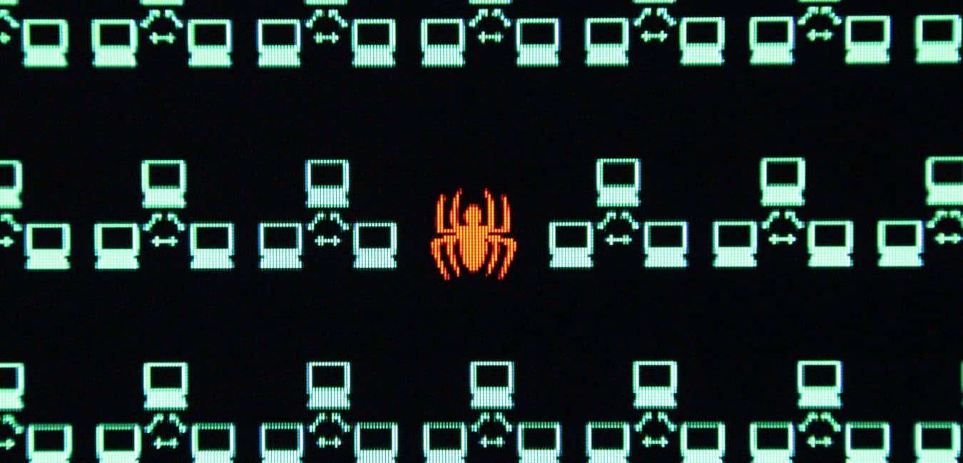 web spider