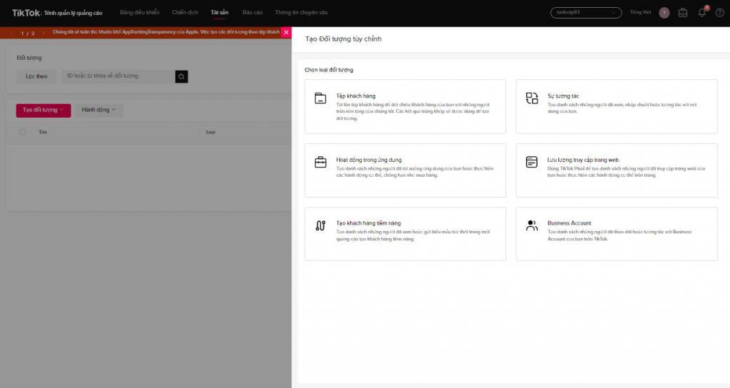 tài sản tiktok ads manager 9