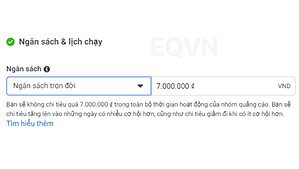 ngân sách trọn đời