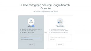 Nhập domain hoặc URL của website