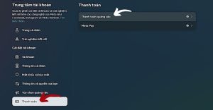 Chọn mục “Thanh toán”