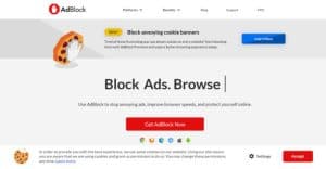 Nhấn vào mục Get Adblock Now