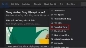 Tại Fanpage chọn “Chất lượng trang”