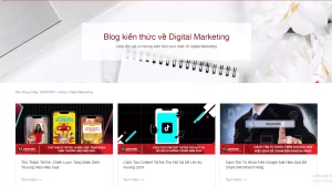 Blog và bài viết