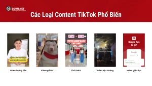 Các Loại Content TikTok Phổ Biến