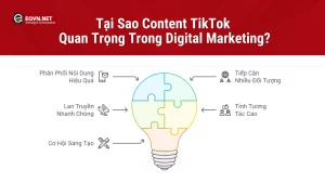 Tại Sao Content TikTok Quan Trọng Trong Digital Marketing