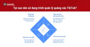 Tại sao nên sử dụng trình quản lý quảng cáo TikTok?