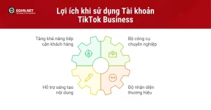 Lợi ích khi sử dụng TikTok Business