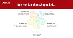 Khi nào nên chọn Shopee?