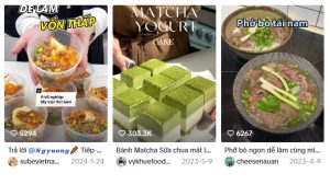 Video hướng dẫn sử dụng